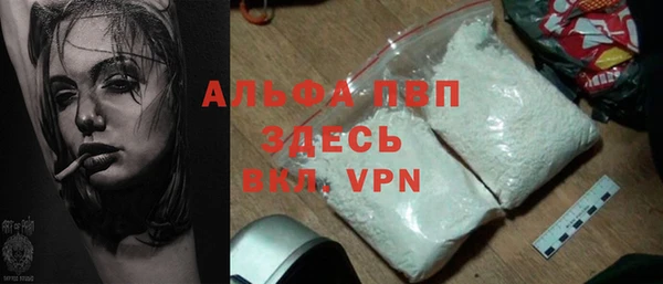 PSILOCYBIN Белокуриха
