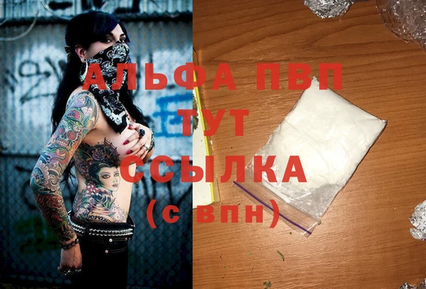 PSILOCYBIN Белокуриха